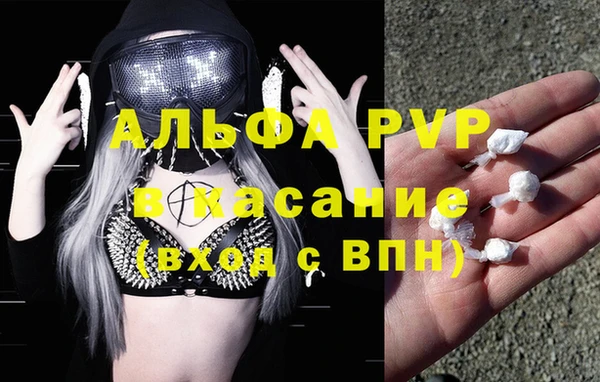 стафф Нефтегорск