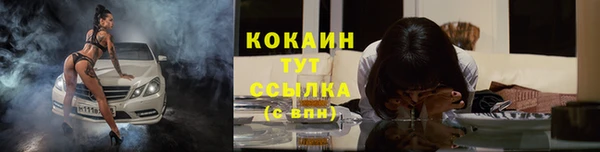 стафф Нефтегорск